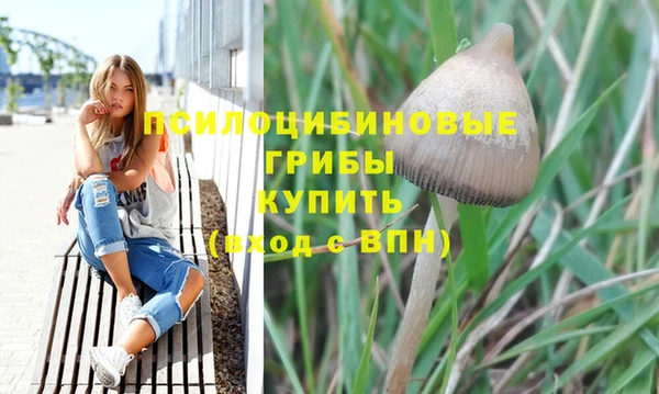 мескалин Майский