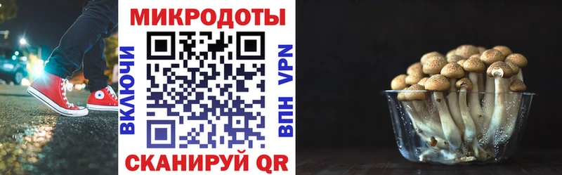 Галлюциногенные грибы прущие грибы  Приволжский 
